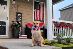 Patriotic Porches 2021