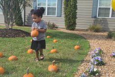 Pumpkin Patch 2021